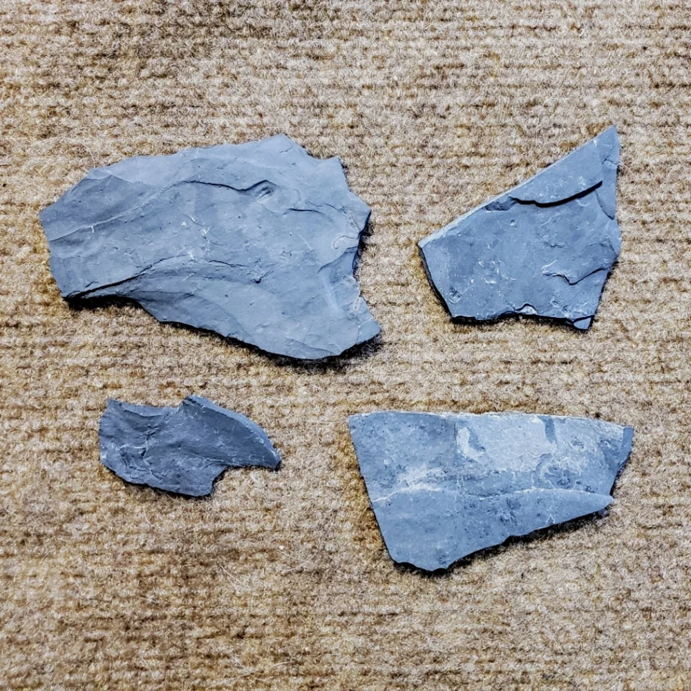 Trilobite Elrathia Fossils in Slate Stone Matrix - Delta Utah Set of 4
